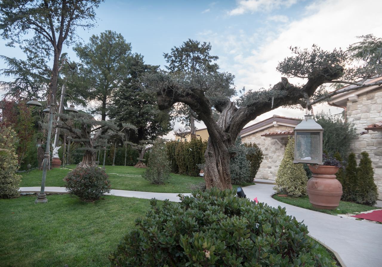 Il Giardino Degli Angeli Pensionat Assisi Exteriör bild